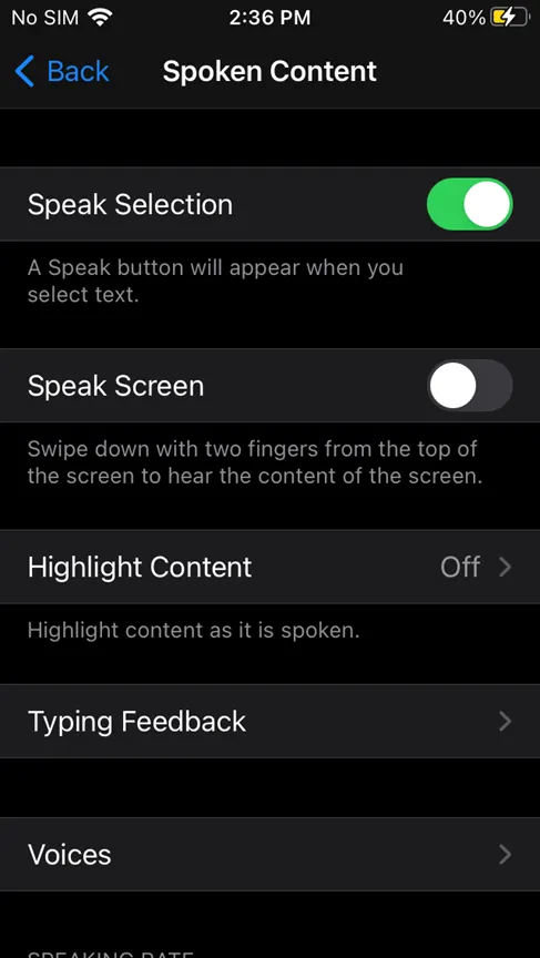 تنظیمات Spoken Content بخش ٰVision